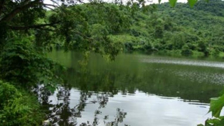 Jolding Wari